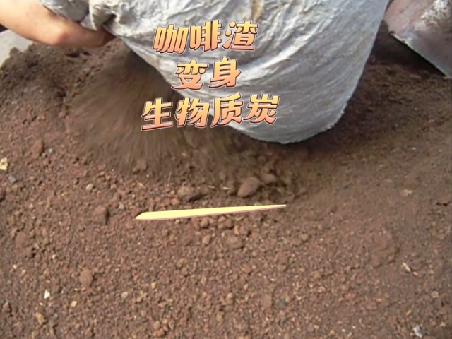 蜜桃视频APP在线观看蜜桃成人影院免费线路二變廢為寶的藝術,看咖啡渣變成高熱值生物炭